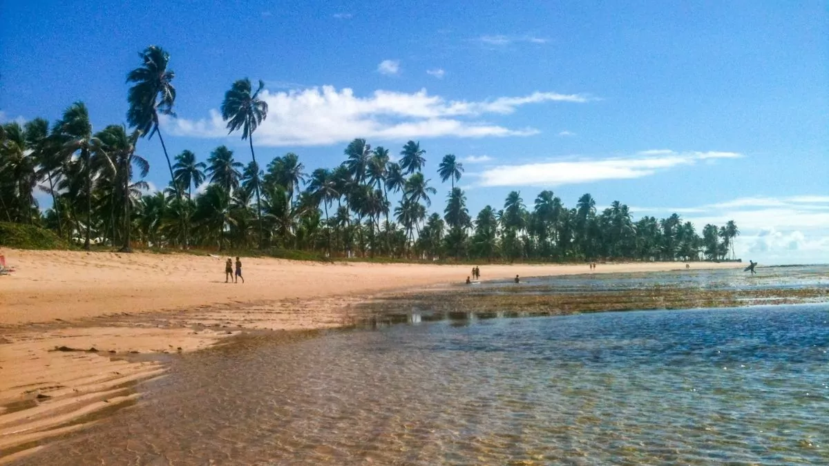 Como-Chegar-a-Praia-do-Forte